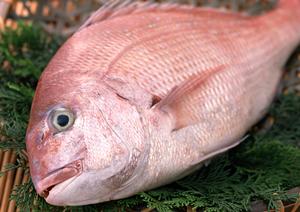 恵比寿で楽しめる水タバコのバー