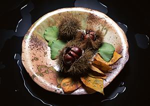 PASTAIONE OKINAWA｜本場のイタリアン体験を沖縄で