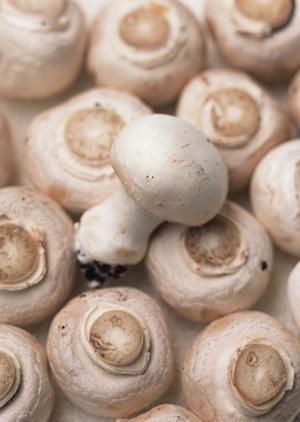 柏で見つける絶品中華料理の専門店ガイド【2026年最新版】