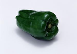 宅配弁当のことなら安心して任せられる