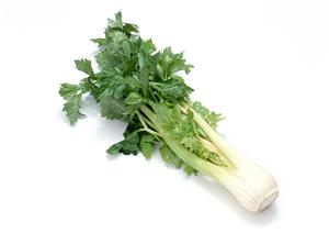 仙台で絶対行きたい!2026年最新おすすめカフェガイド